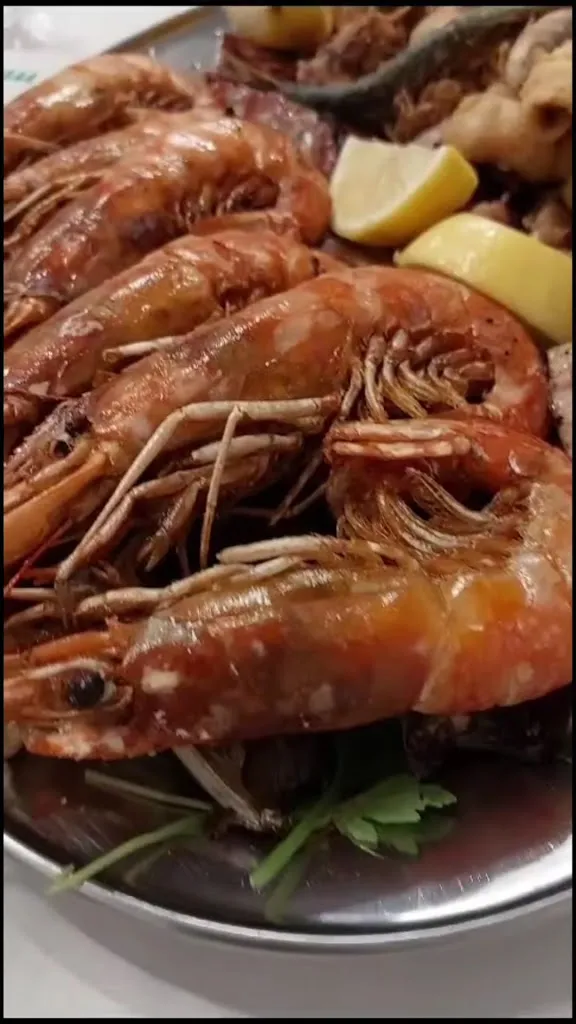 Sônia Saade Martins_Alen Bar_Casale Monferrato_review