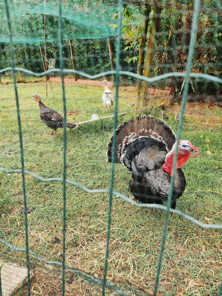 Kristaps V_Cascina Trapella_Casale Monferrato_review