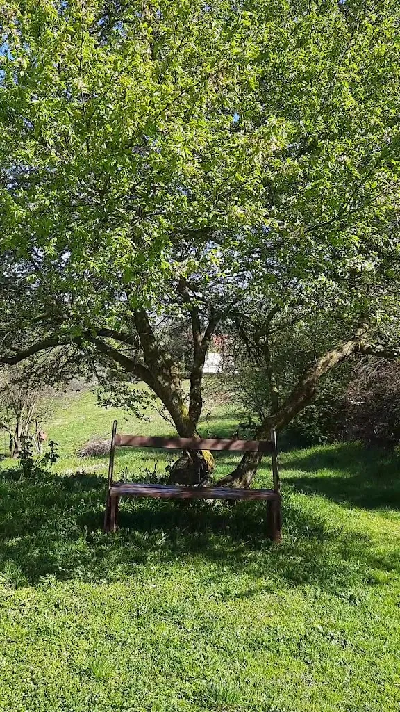 Cascina Trapella restaurant in Casale Monferrato