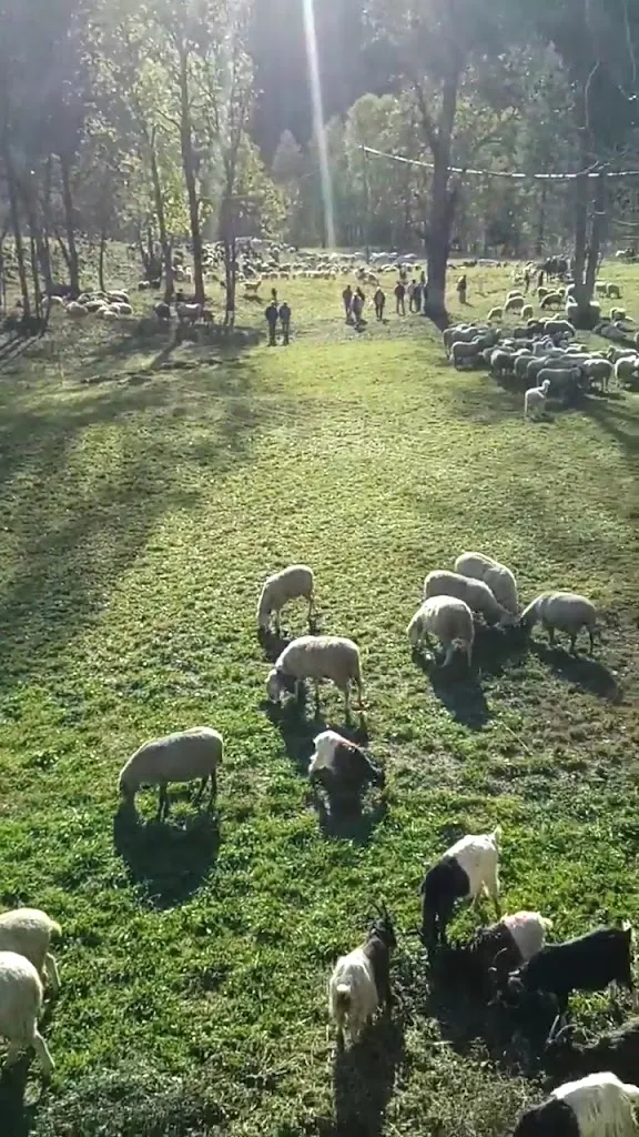 Il Mulino Delle Fucine' Di Giordanino Katia_Casteldelfino_slider_image_2