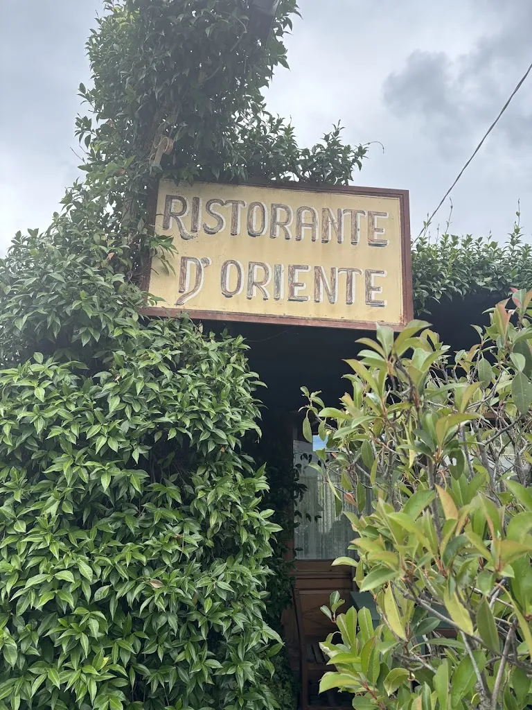 Silvia Beltramo_Ristorante Oriente_Castellamonte_review