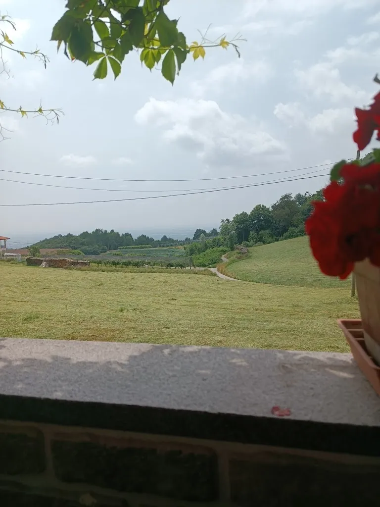 Elisa Bottazzi_Trattoria La Campagnola_Castellamonte_review