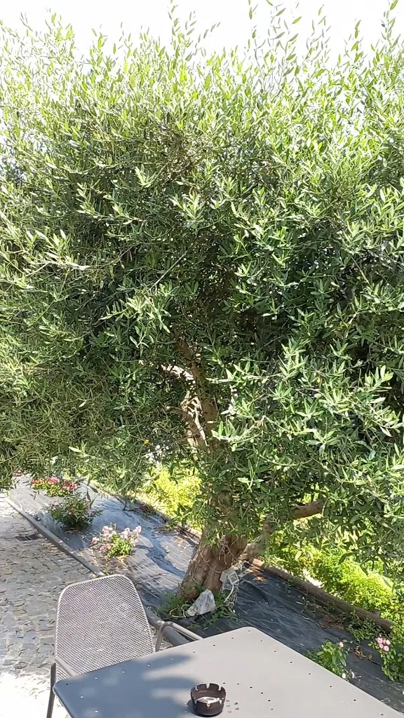 EMANUELE INVERNIZZI_Ristorante Belavista_Castellinaldo_review