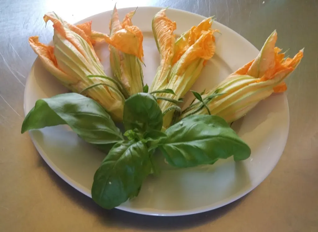 Menu_Agriturismo Mangià ad Campagna_Castelnuovo Scrivia_image_6