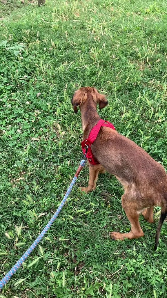 Max Ceri_Agriturismo Mangià ad Campagna_Castelnuovo Scrivia_review