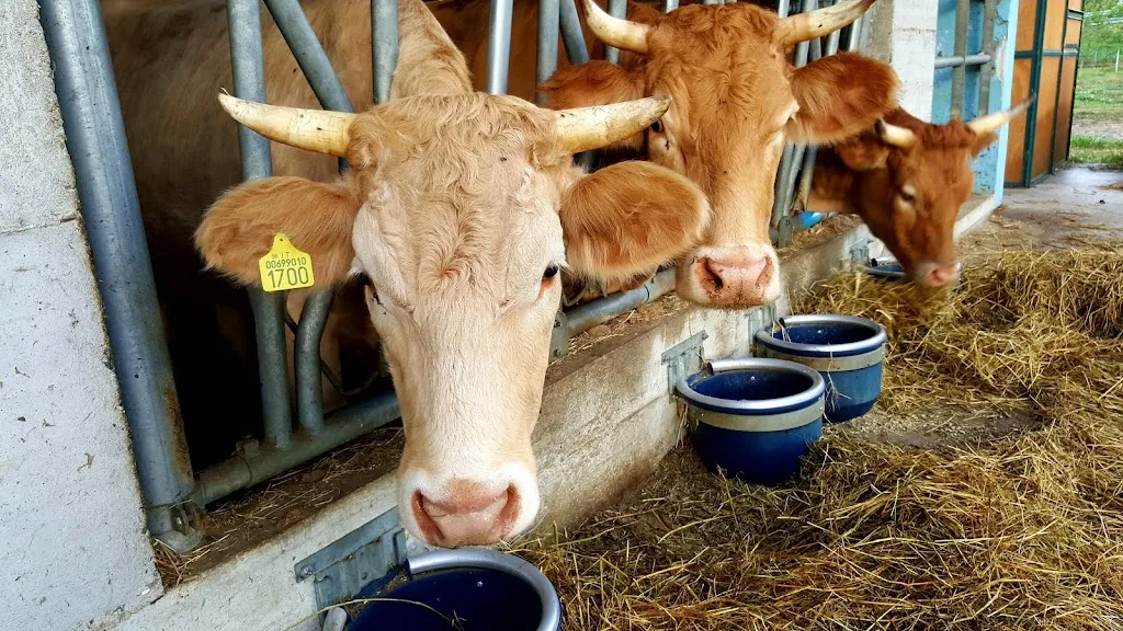 Agriturismo Mangià ad Campagna_Castelnuovo Scrivia_slider_image_3