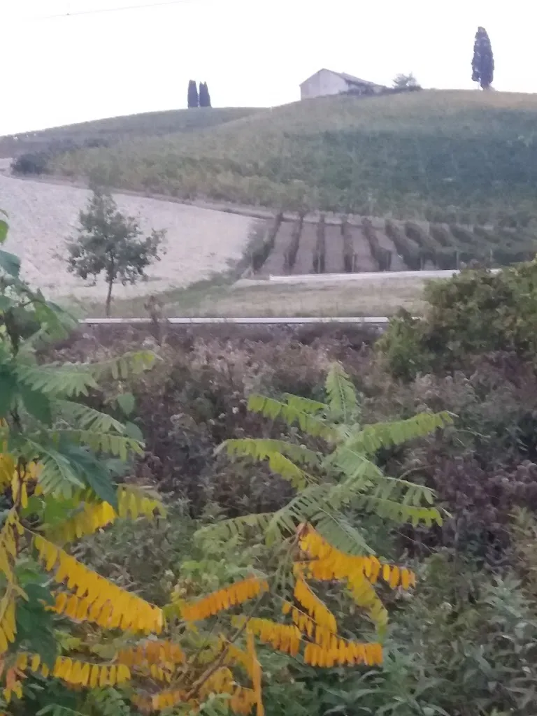 Riolfi Sapori_Castelnuovo Calcea_slider_image_3