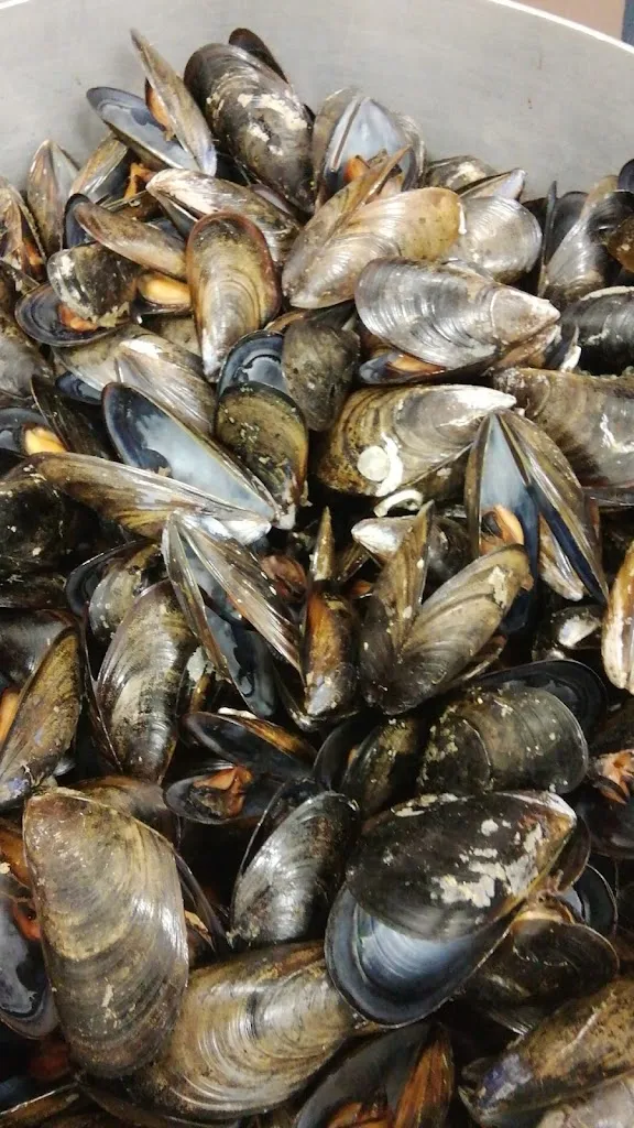 Menu_LOSTo_Cavatore_image_9