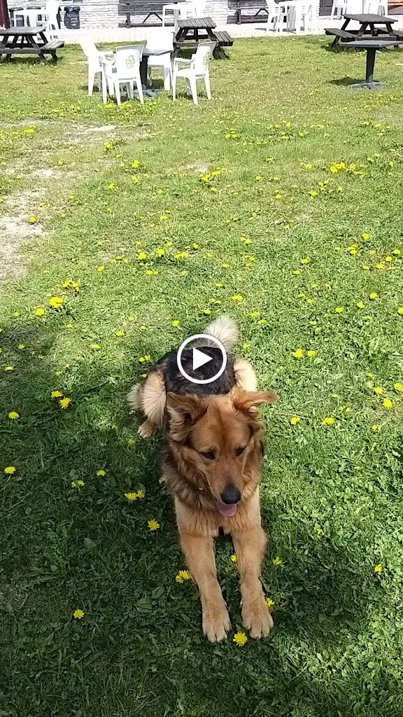 Rifugio Massimo Mila_Ceresole Reale_slider_image_2