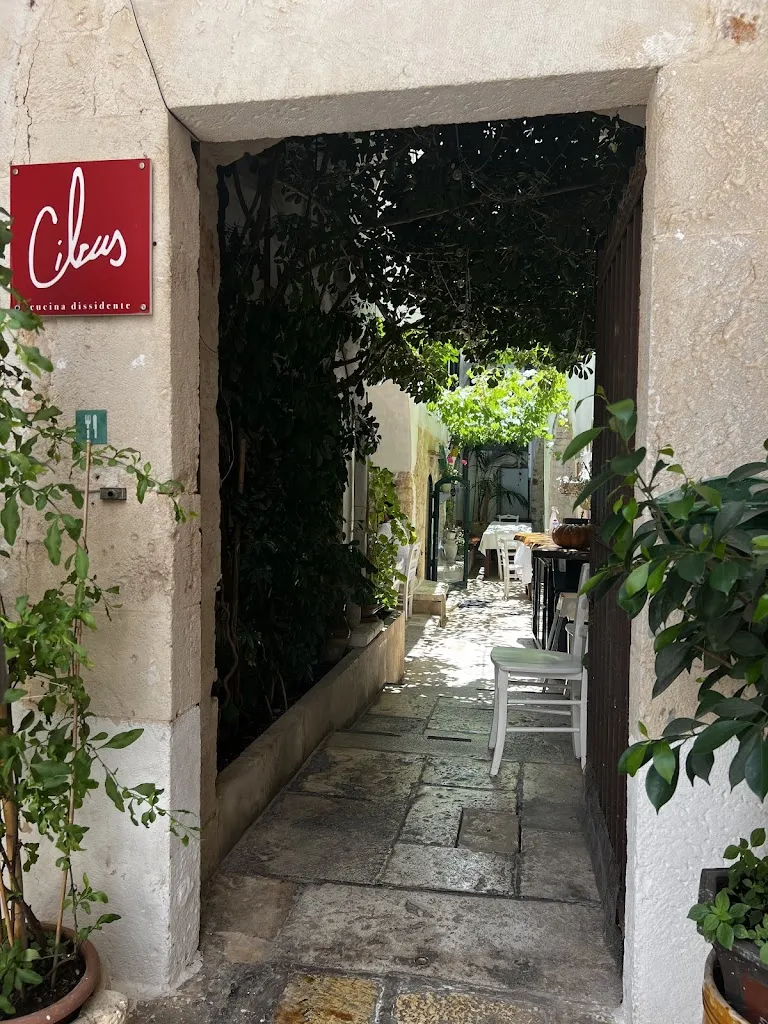 Madeline C_Cibus_Ceglie Messapica_review