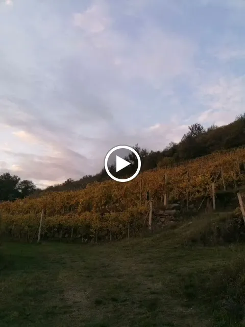 Cascina Fontana_Cerrione_slider_image_2