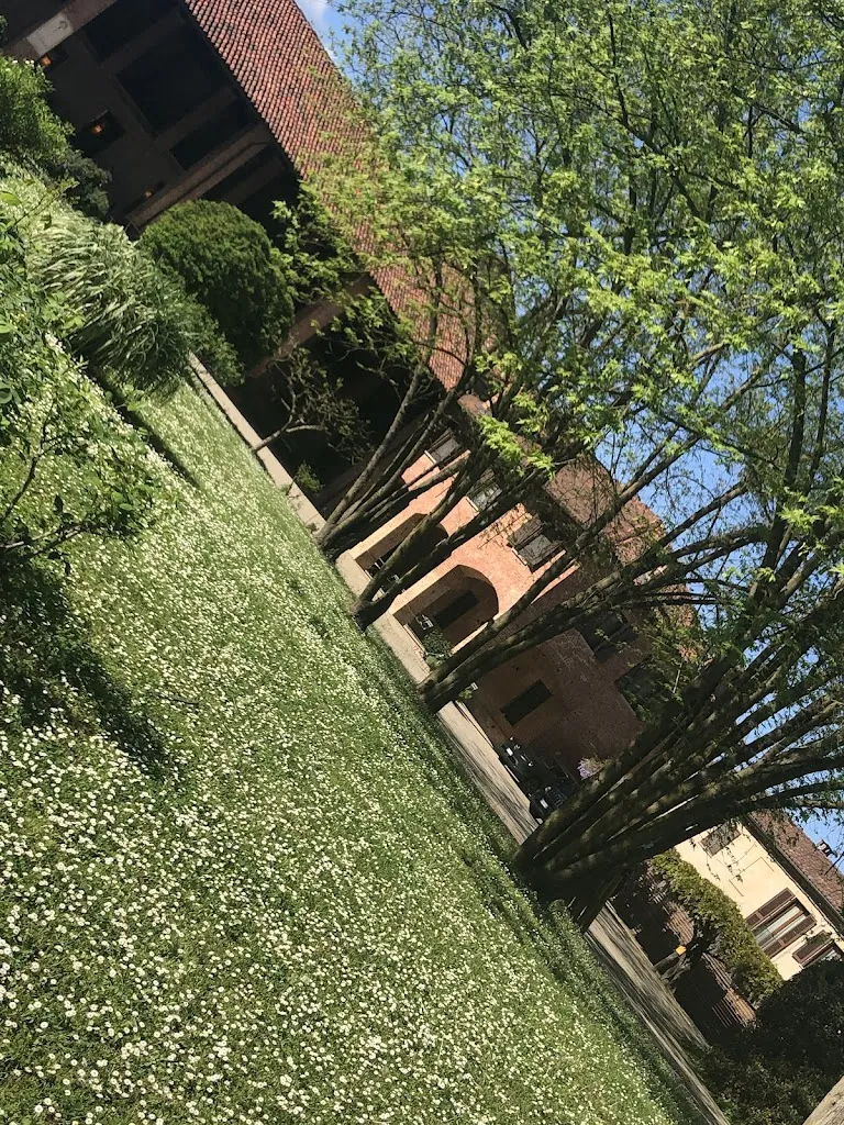 Rosa Mazzeo_La Corte Chiusa Ristorante Agriturismo alle Cantine dei Marchesi Incisa della Rocchetta_Cerro Tanaro_review