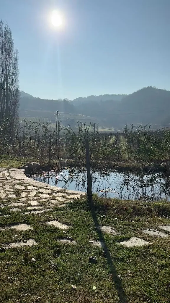 Sydney Martinie_Bio Agriturismo Tenuta Antica_Cessole_review