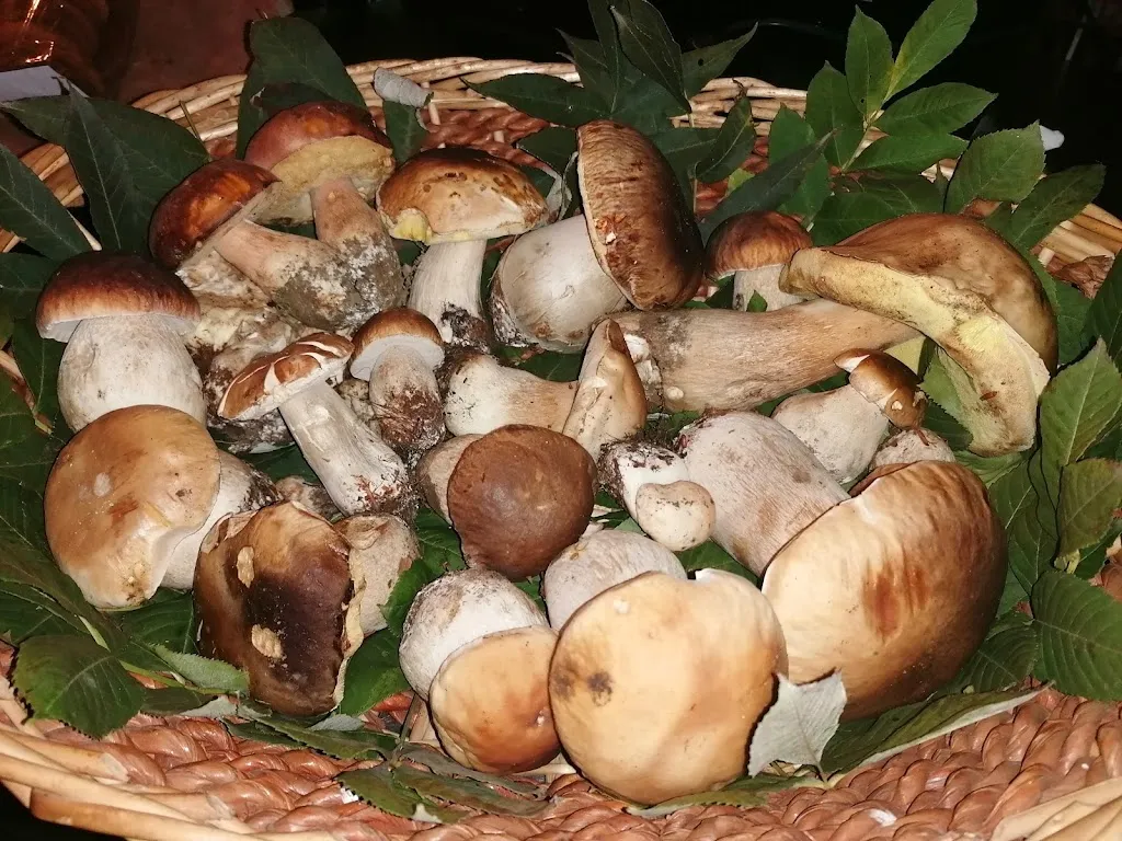 Ristorante Pizzeria Cesarin_Chialamberto_slider_image_3