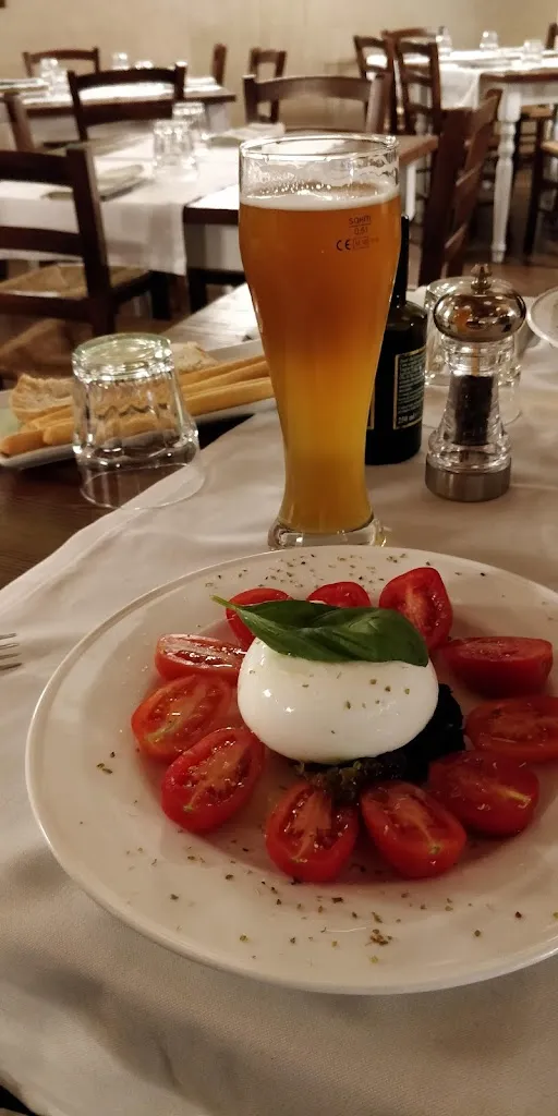 Meir Cohen_The Garden of Ghilot_Cherasco_review