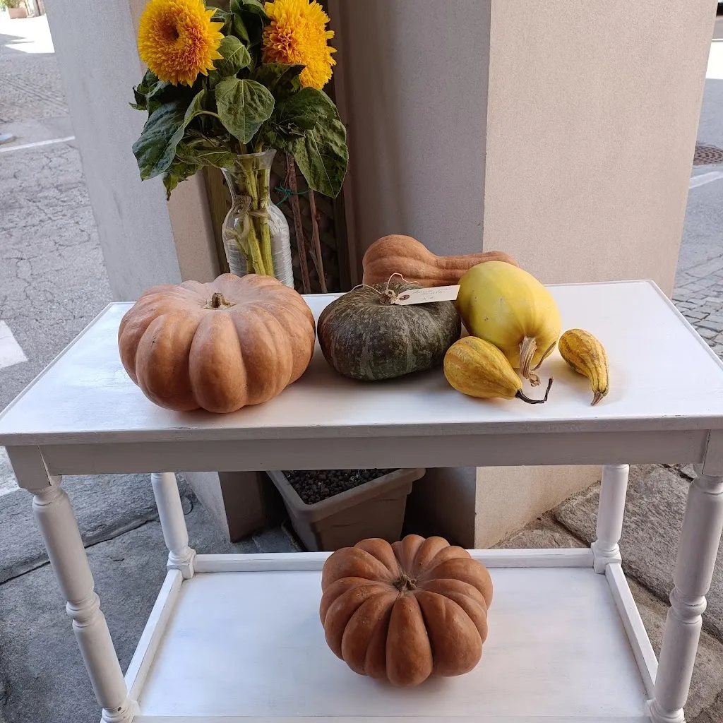 Menu_Gastronomia Magie di Sapori_Cherasco_image_8