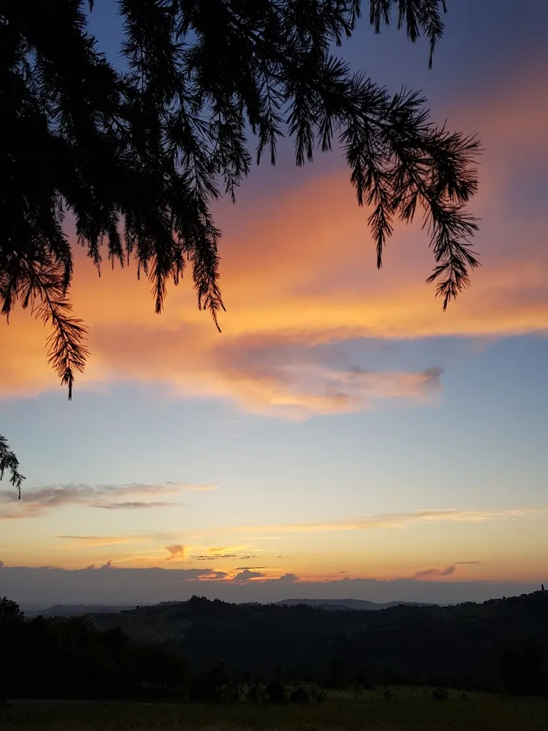 Bruno Geiger_The Monarch Farm_Cissone_review