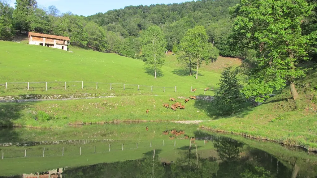 Azienda Agricola La Colma di Vignati Giorgio_Civiasco_slider_image_1