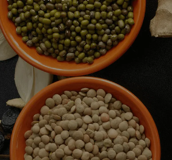 Maharaja_Chivasso_slider_image_3