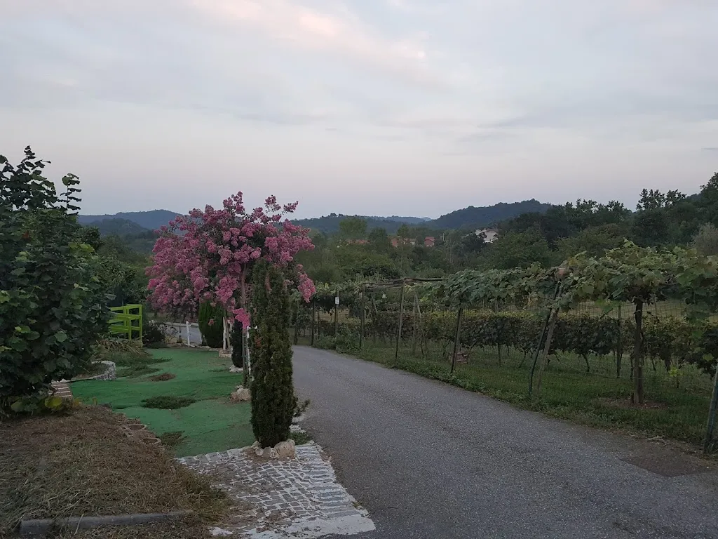 MARTIN GILLOTT_Cantina del Ponte_Cocconato_recensione