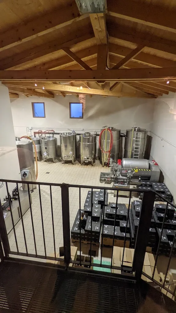 Luca Danesi_Cantina Nicola_Cocconato_review