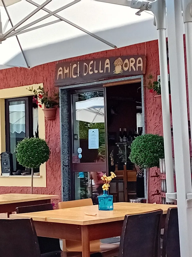 Franco Molino_Gli Amici della Tora_Coazze_recensione