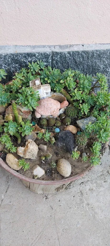 Menu_Pro Loco Cortandone_Cortandone_image_5