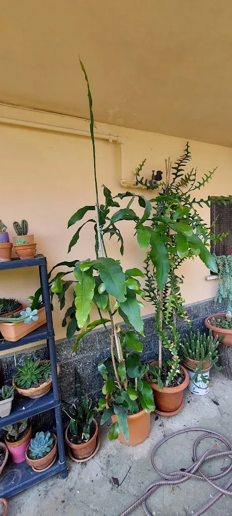 Pro Loco Cortandone_Cortandone_slider_image_3