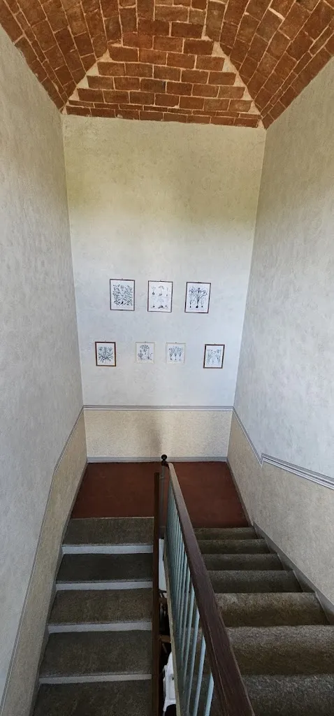 NEILL Buijze_Il Pozzo Fiorito_Cossombrato_review