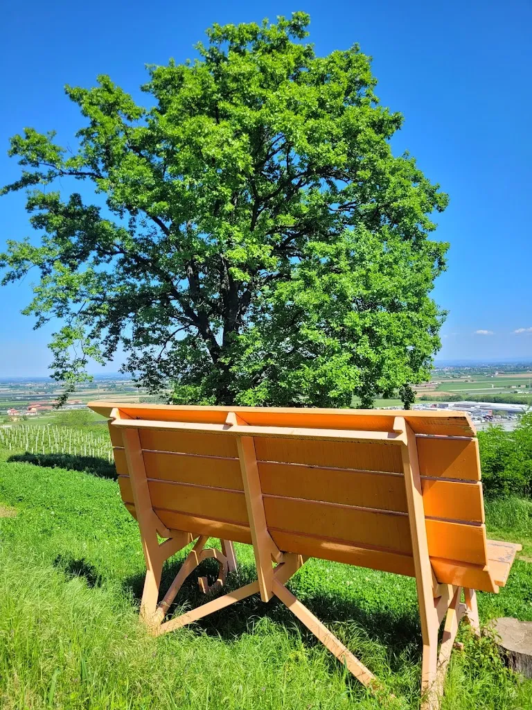 Max Ritro_Agriturismo La Castagnotta_Costiglione Saluzzo_review