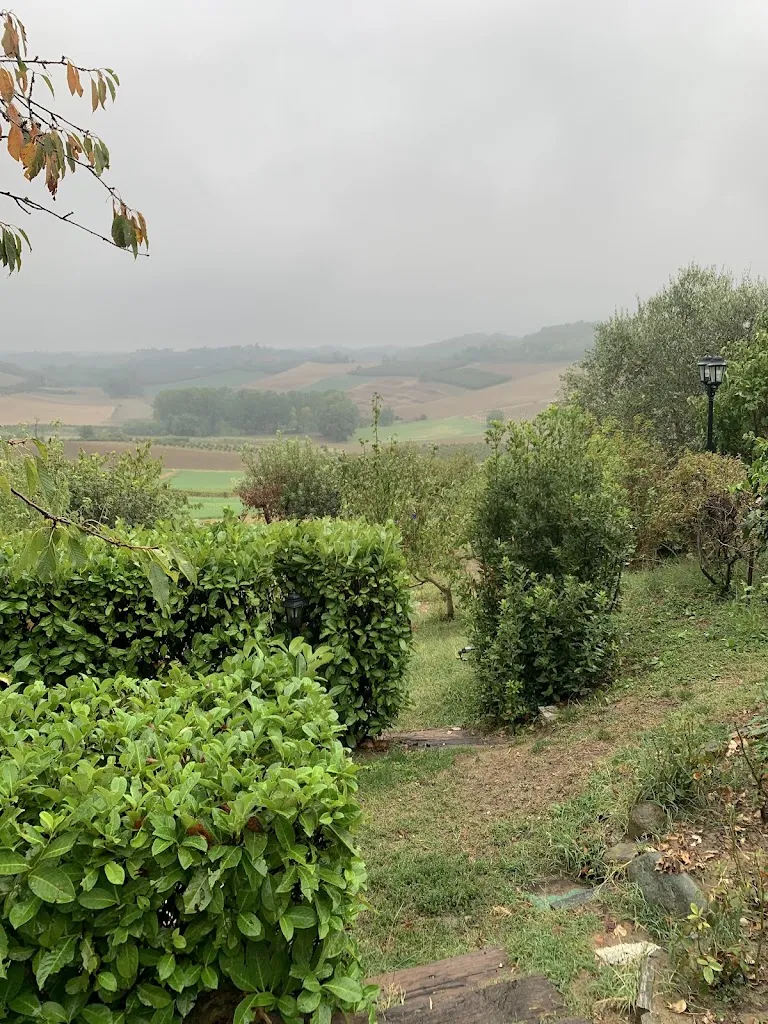 Salvatore Canfora_Agriturismo ristorante La Cantina In Collina_Cuccaro Monferrato_review