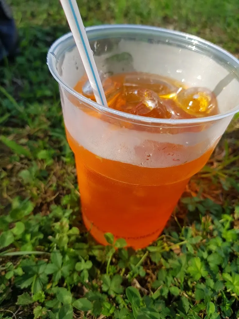 Menu_Ristorante La Collina_Cureggio_image_8