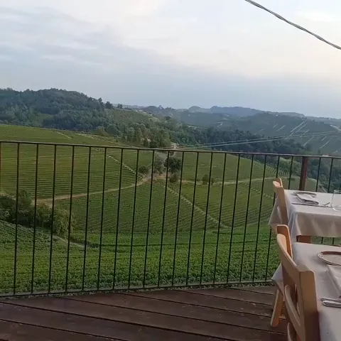 Osteria Il Cortile_Diano d'Alba_slider_image_2