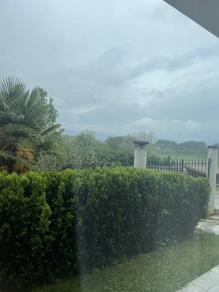 Erica Evangelista_Vitae di Langa_Diano d'Alba_review