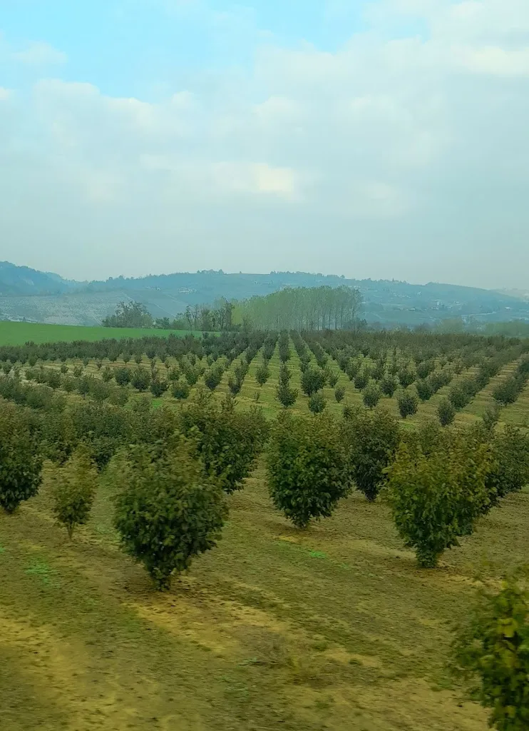 Marinella Nistri_Ristorante @Tenuta Larenzania_Dogliani_review