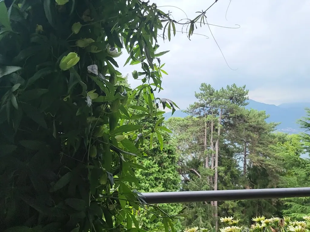 ECKHARD KÖHN_Ristorante Pizzeria Bel Soggiorno_Cursolo_review