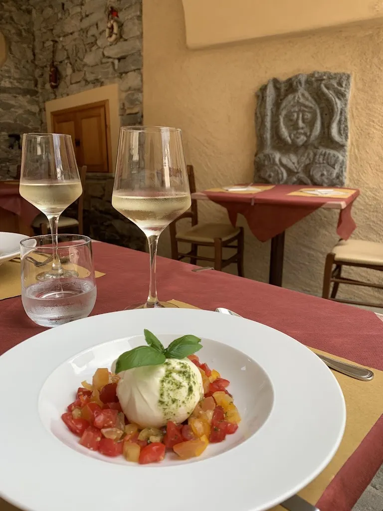 Sabry B_Leon d'oro_Cursolo_review