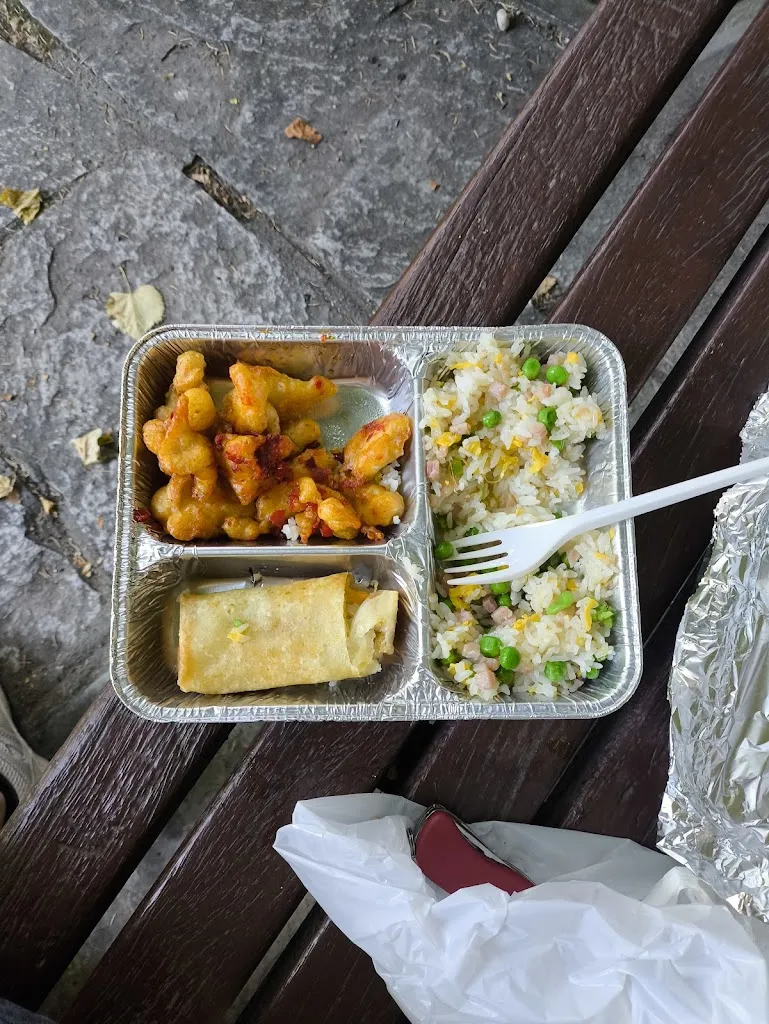 Menu_Rosticceria Cinese Jia Jia_Domodossola_image_9