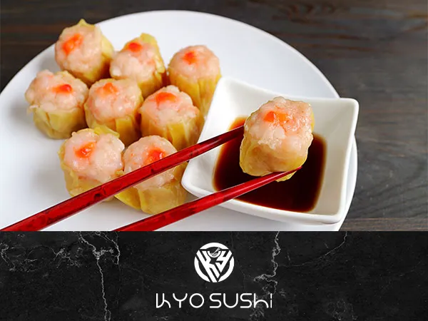 Kyo Restaurant_Dormelletto_slider_image_3