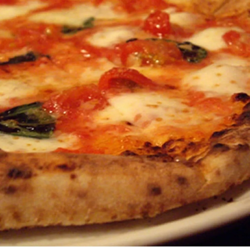 Menu_El gazer_Copertino_image_3