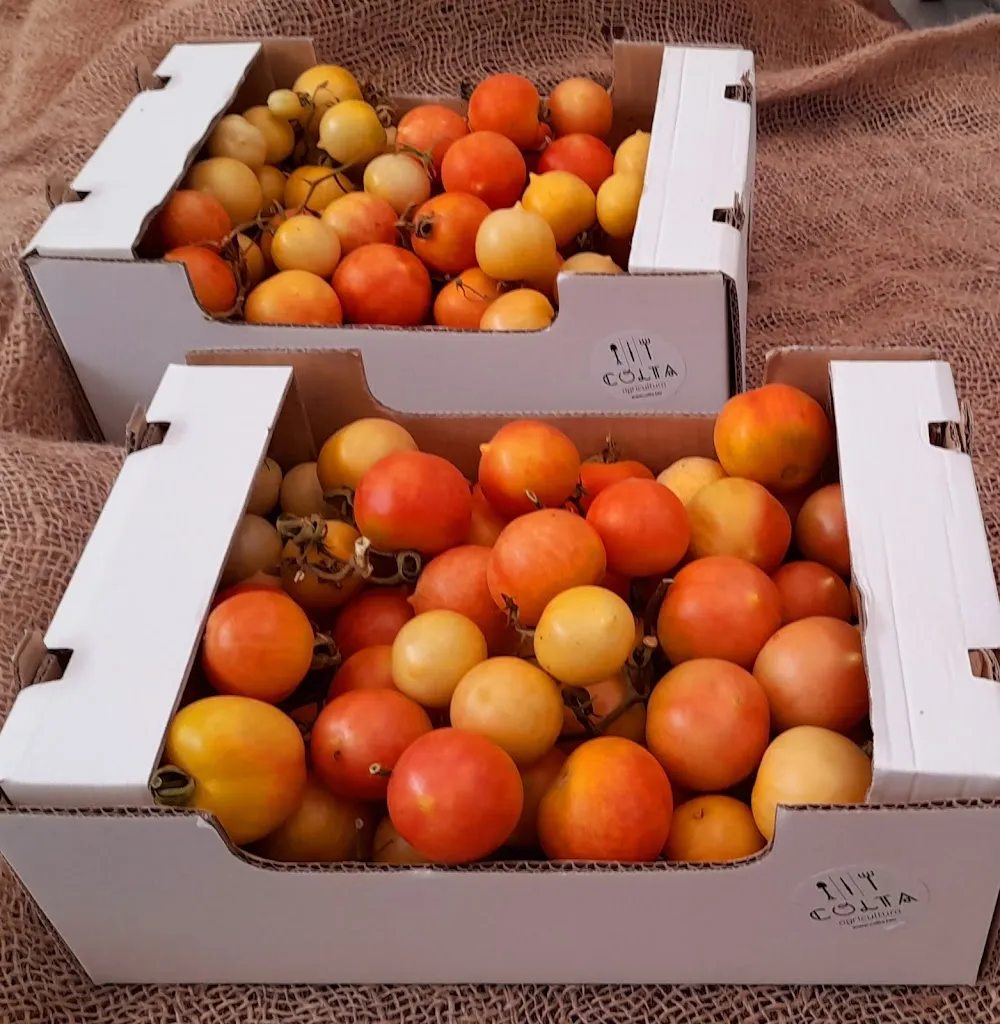 Menu_Tik Toast_Copertino_immagine_6