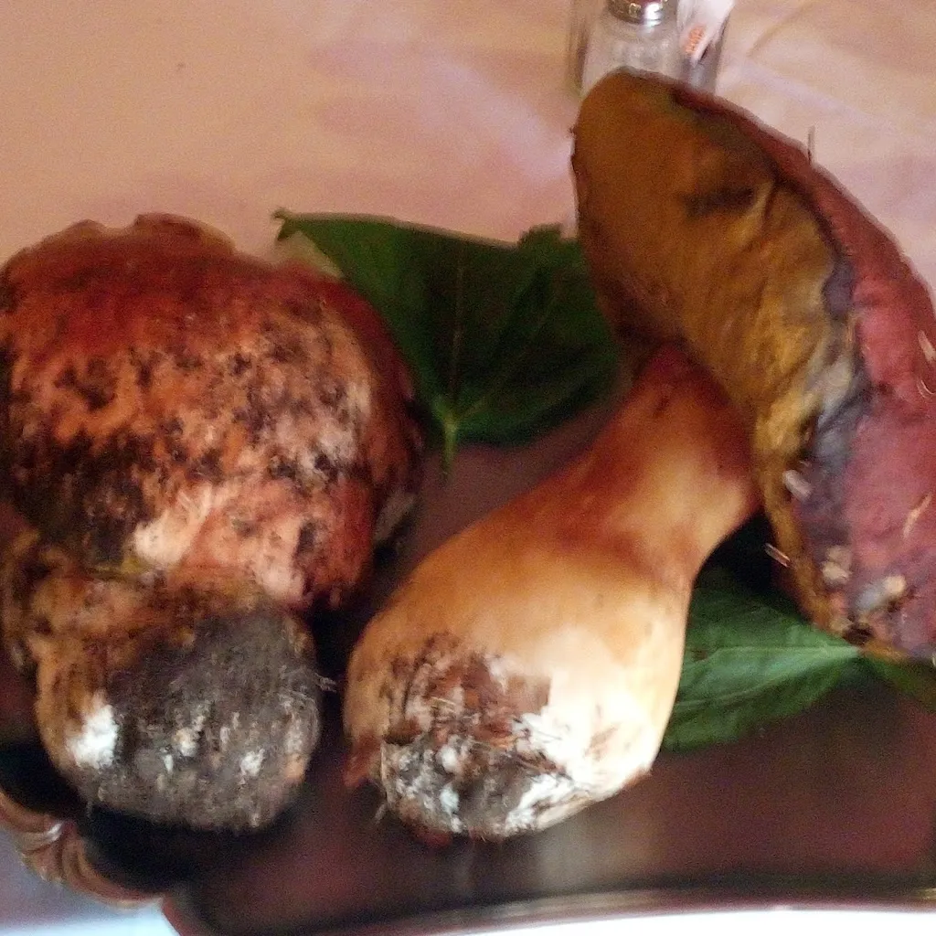 Menu_Sulla Via Del Forte_Fleccia-Chianavasso_immagine_7