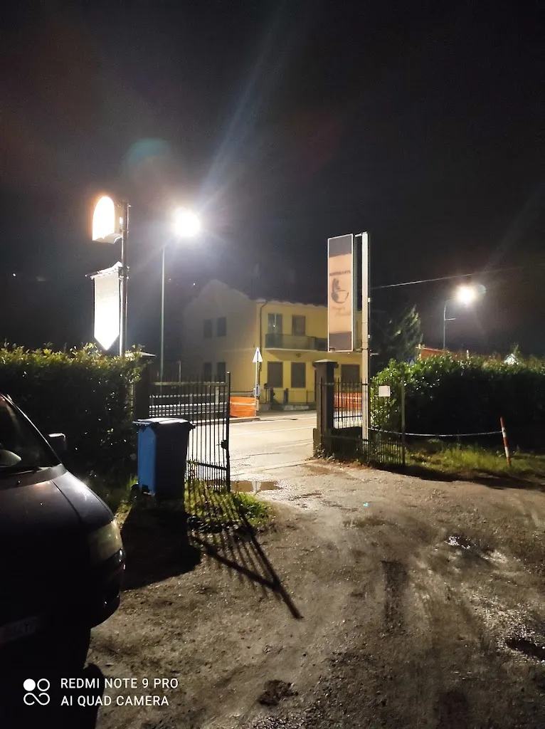 Marius Gabriel Chifan_Il Santo Bevitore_Fleccia-Chianavasso_review