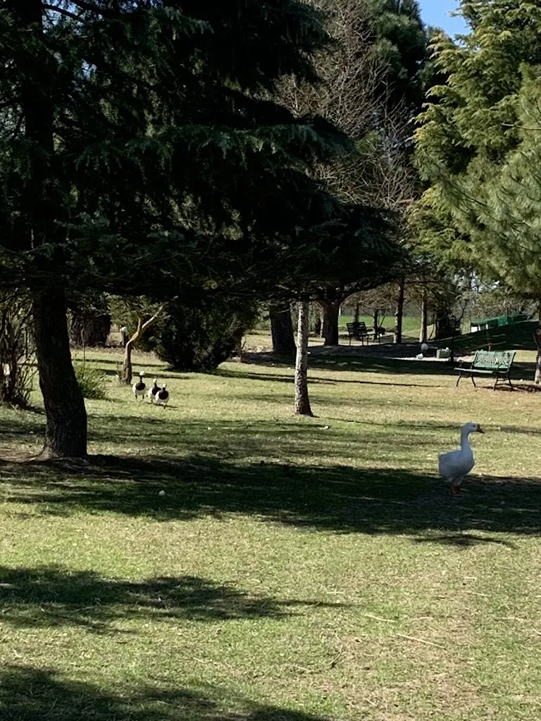 Cafarella Giuseppina_Astro Bio ParcoGlsKAOAVKAPAOQNLAKA OSP XLSLAXMPD_Felizzano_review