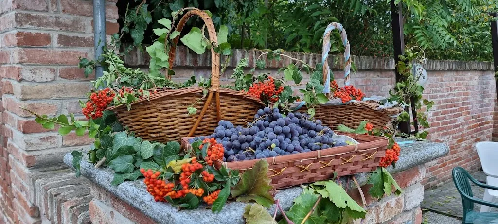 Soms_Felizzano_slider_image_1