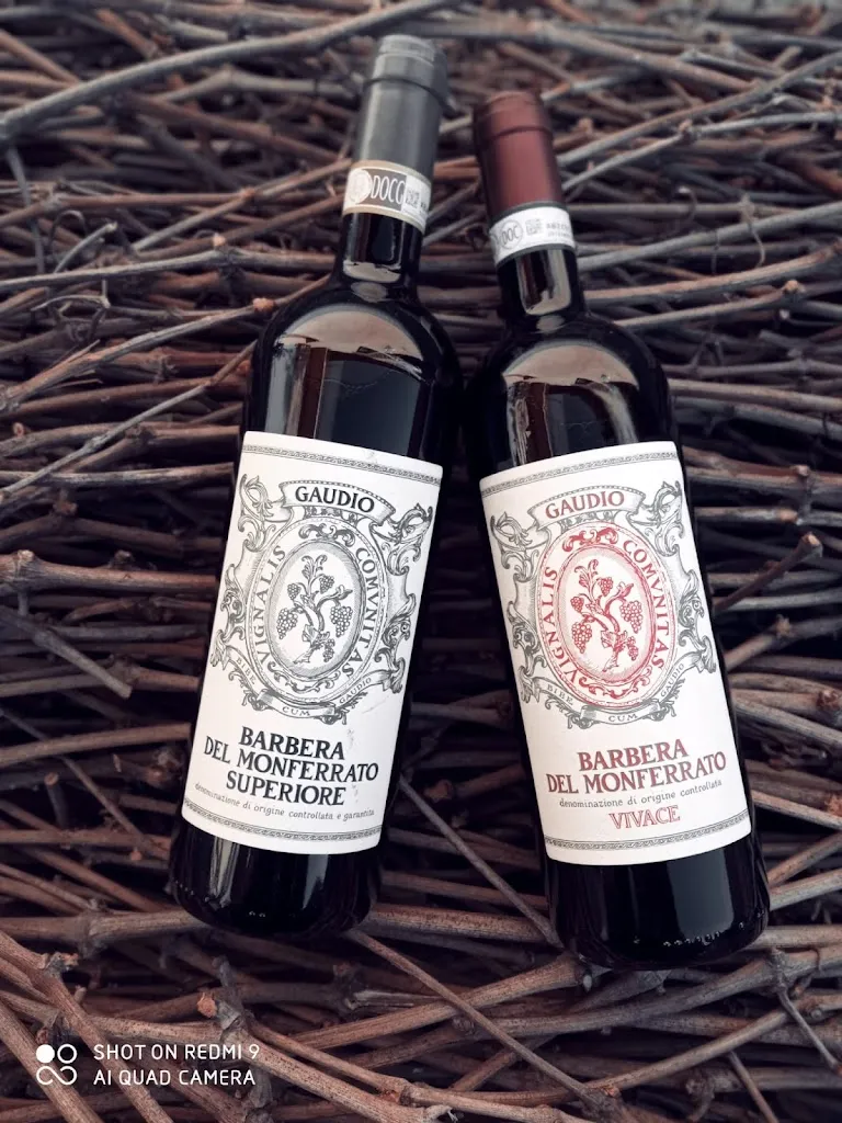 Ristorante Il Biancospino_Felizzano_slider_image_3