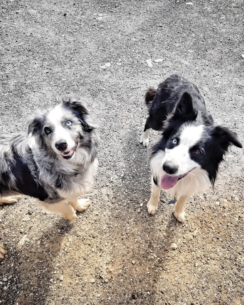 Agriturismo RossWald_Formazza_slider_image_2