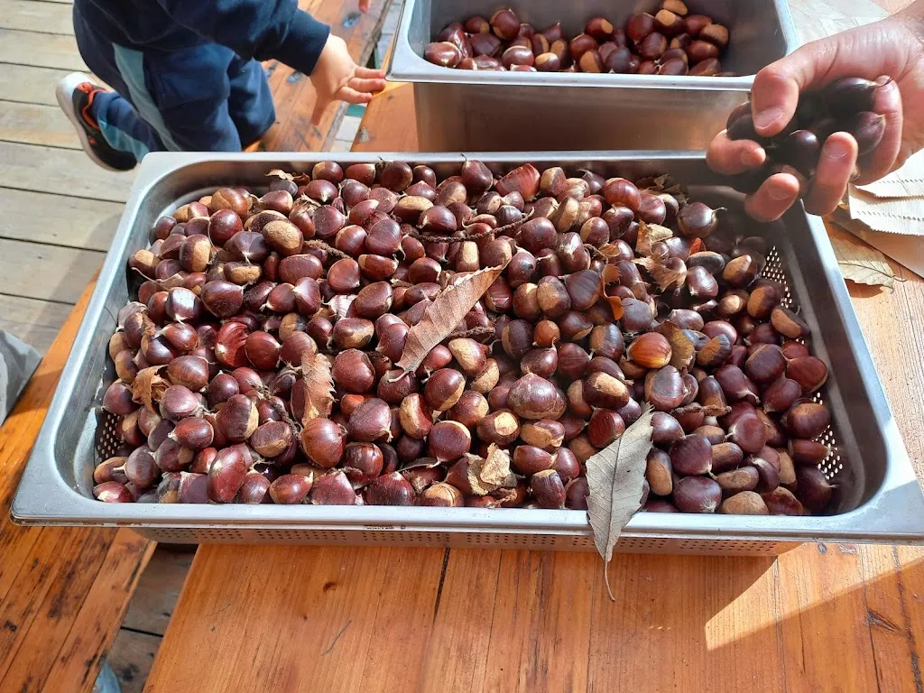 Menu_Lo Spazzaneve • ristoro di montagna_Frabosa Soprana_image_5