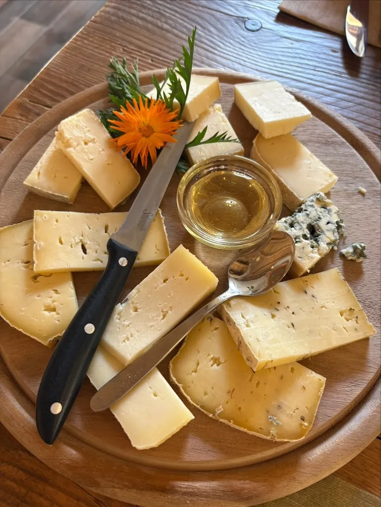 Sara Clemente_Mason Bartrumè - Quin'z Top_Frassinetto_recensione