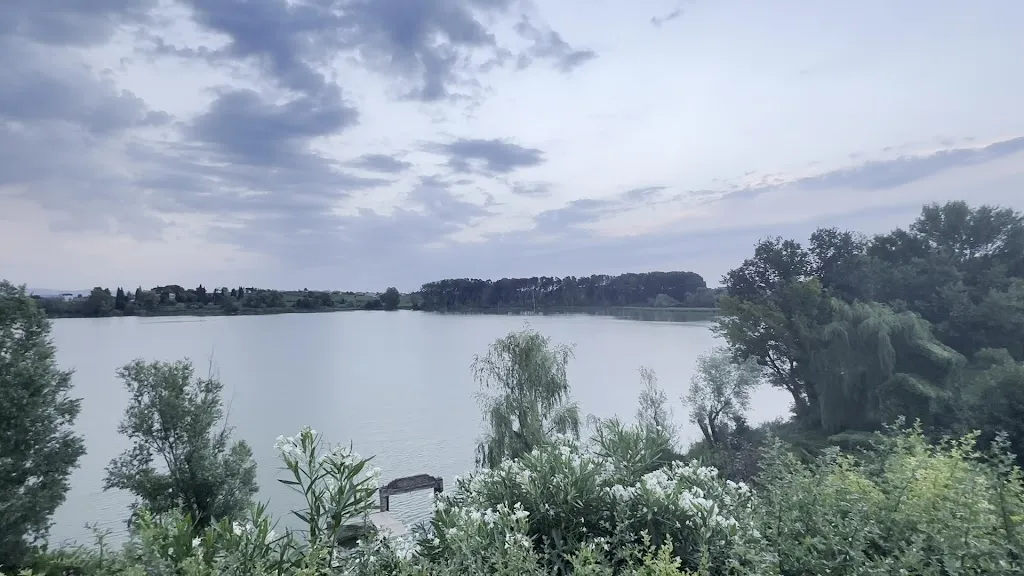 Predrag Martinovic_Ristorante Ardea Purpurea - Le Ali del Frassino_Frassino_review